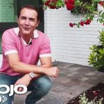 Adornar: intentar embellecer una cosa o un sitio