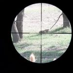 Qué inspeccionar antes de usar una manguera de aire comprimido