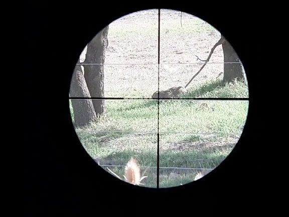 Qué inspeccionar antes de usar una manguera de aire comprimido