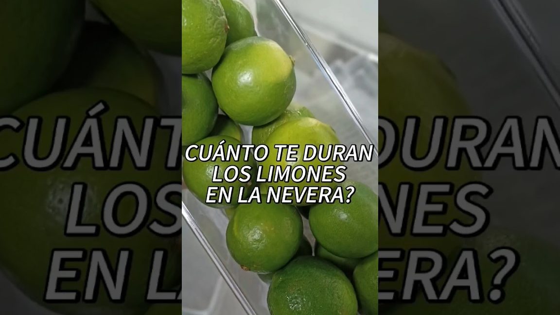 Almacenar y ablandar los alimentos adaptaciones de las aves