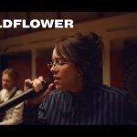 Exportar listas de Spotify a Amazon Music