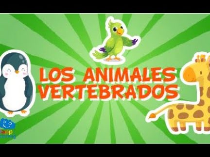 Especificar los cinco grandes grupos de los animales vertebrados