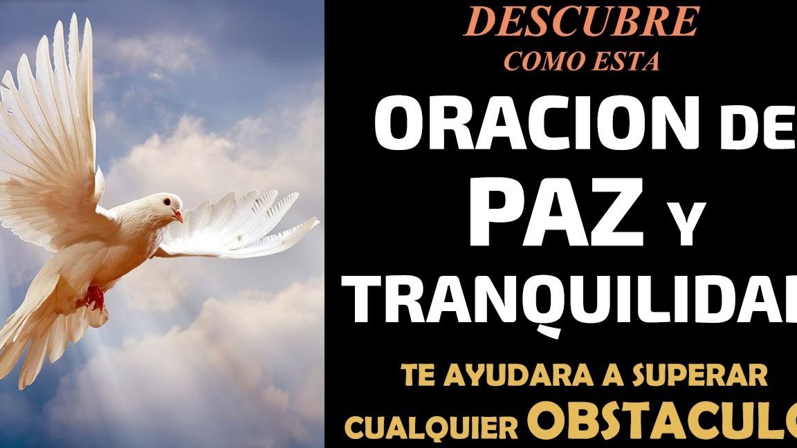 Ejecutar una acción con atención y sosiego
