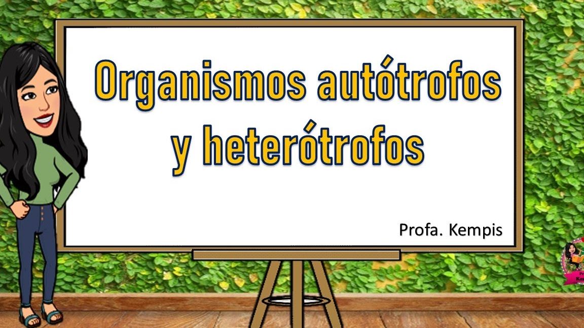 Sintetizar glucosa en su proceso metabólico autótrofo u heterótrofo