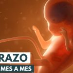 Cómo estimular un bebé en el vientre para que se mueva