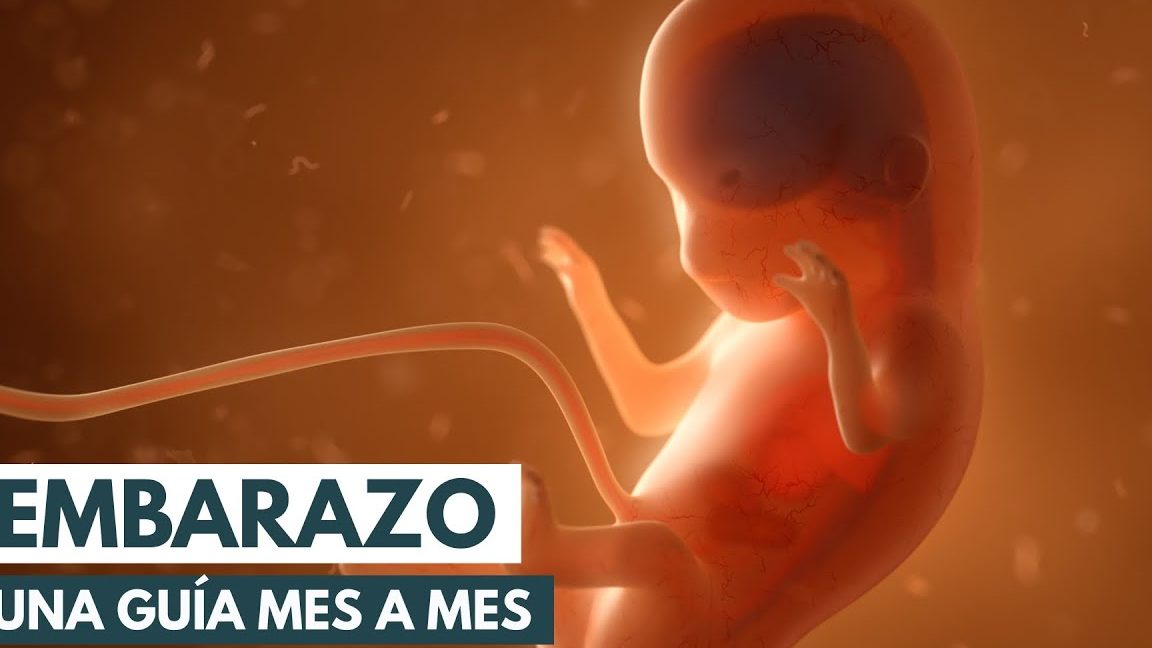 Cómo estimular un bebé en el vientre para que se mueva