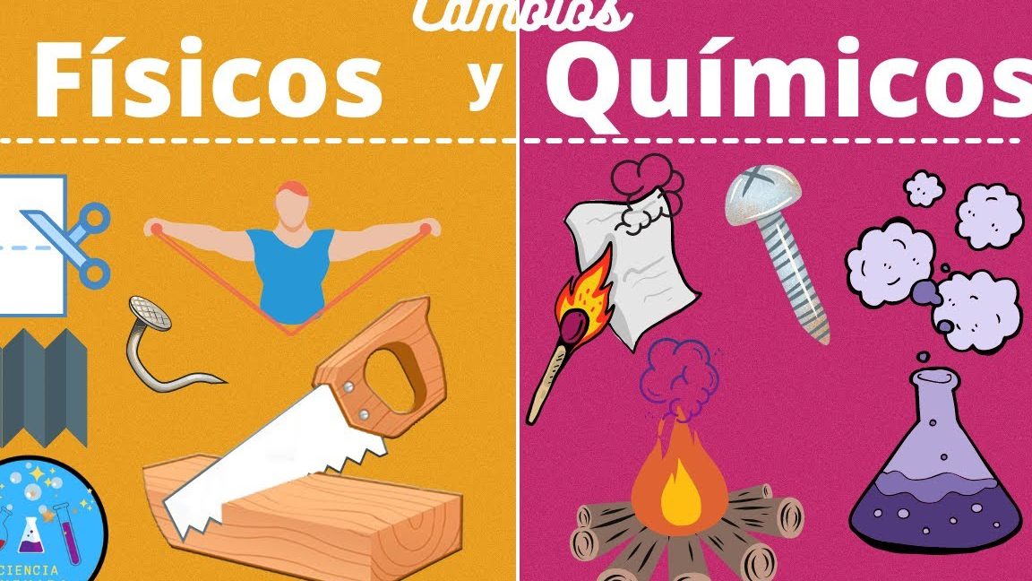 Elaborar vino es un cambio físico o químico