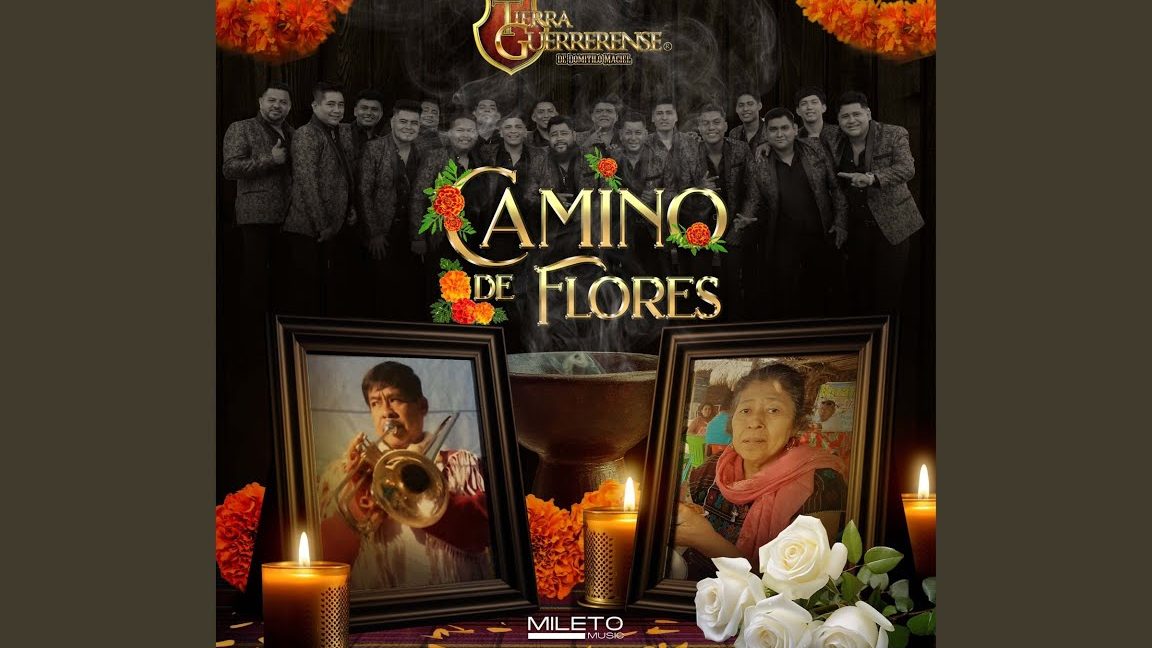 Yo guío un camino de flores