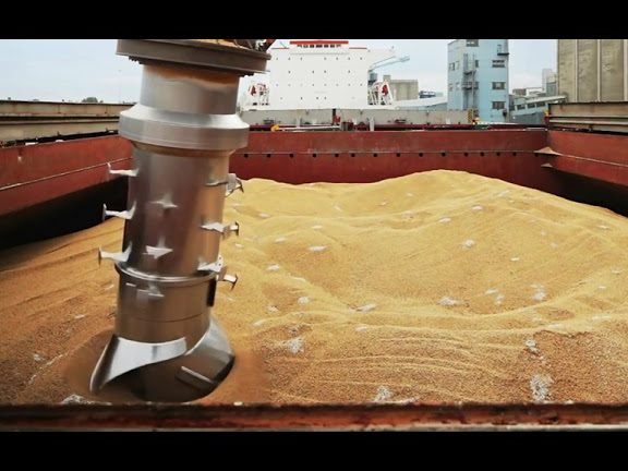 Guardar y ordenar los cereales en el granero