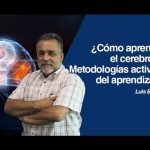 cerebro aprende