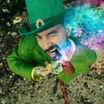 Observar que las hojas de los árboles son de color verde