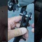 Elegir una persona para desempeñar un cargo