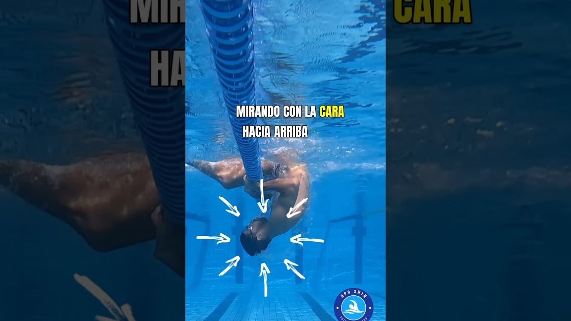 Efectuar un viraje en sitio prohibido y señalizado