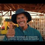 embalar industria