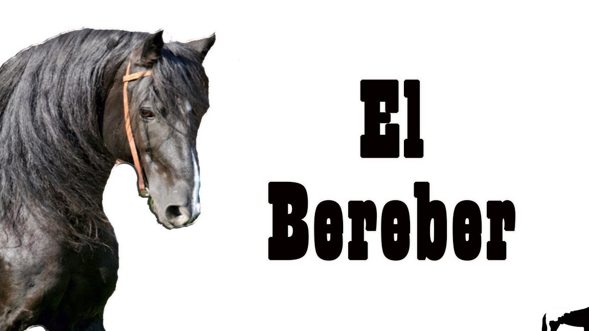 Animal originario de África, de la familia de los caballos