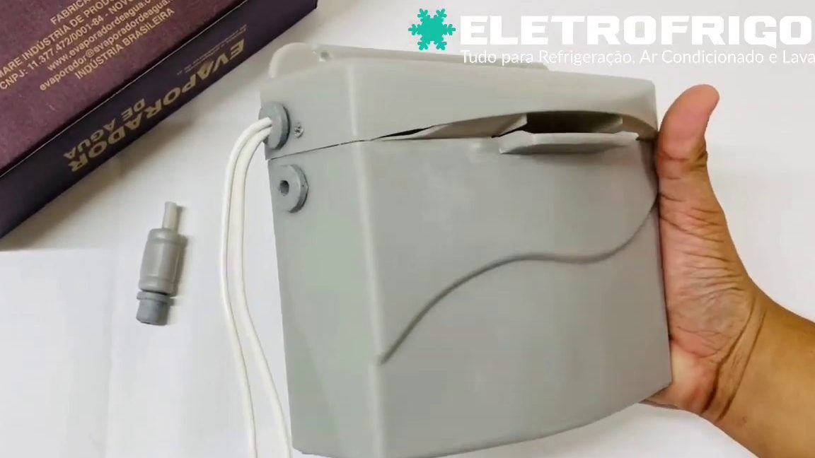 Evaporar y condensar son ejemplos de palabras