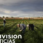 fuerza laboral