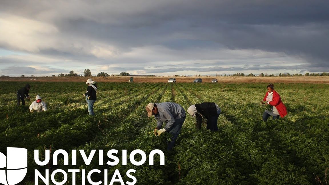 Pronosticar la fuerza laboral