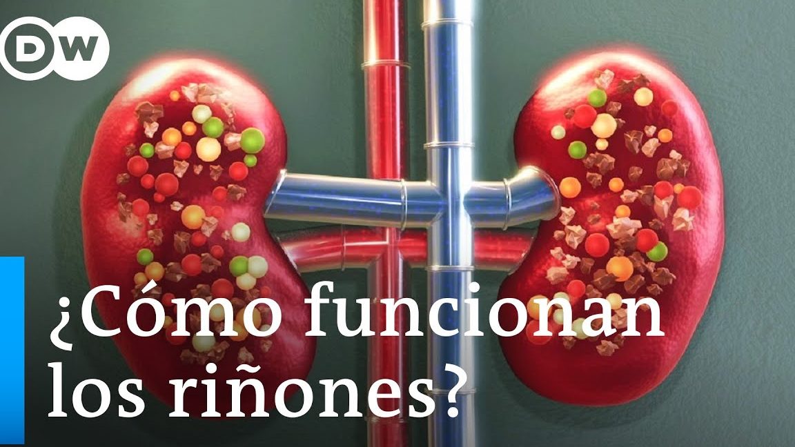 Tomar magnesio es malo para los riñones