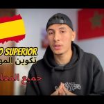 Preparar prueba de acceso a grado superior