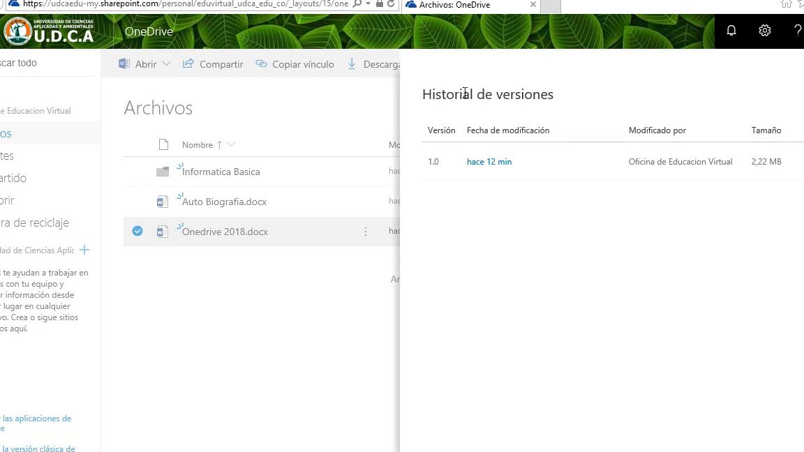 Examinar el historial de versiones de Excel en Mac no funciona