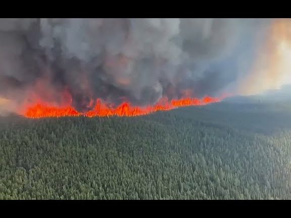 Enlistar las consecuencias que han dejado los incendios forestales en la naturaleza