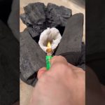 Discutir las reglas de seguridad al iniciar fuegos