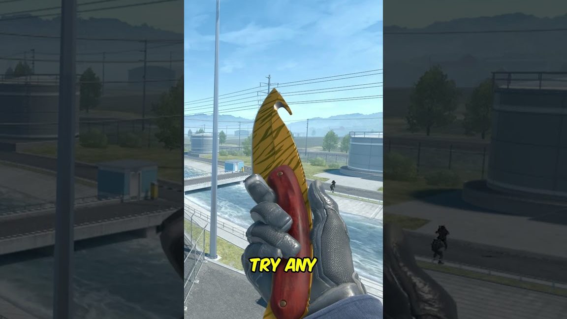 Inspeccionar en el juego CS2 no funciona