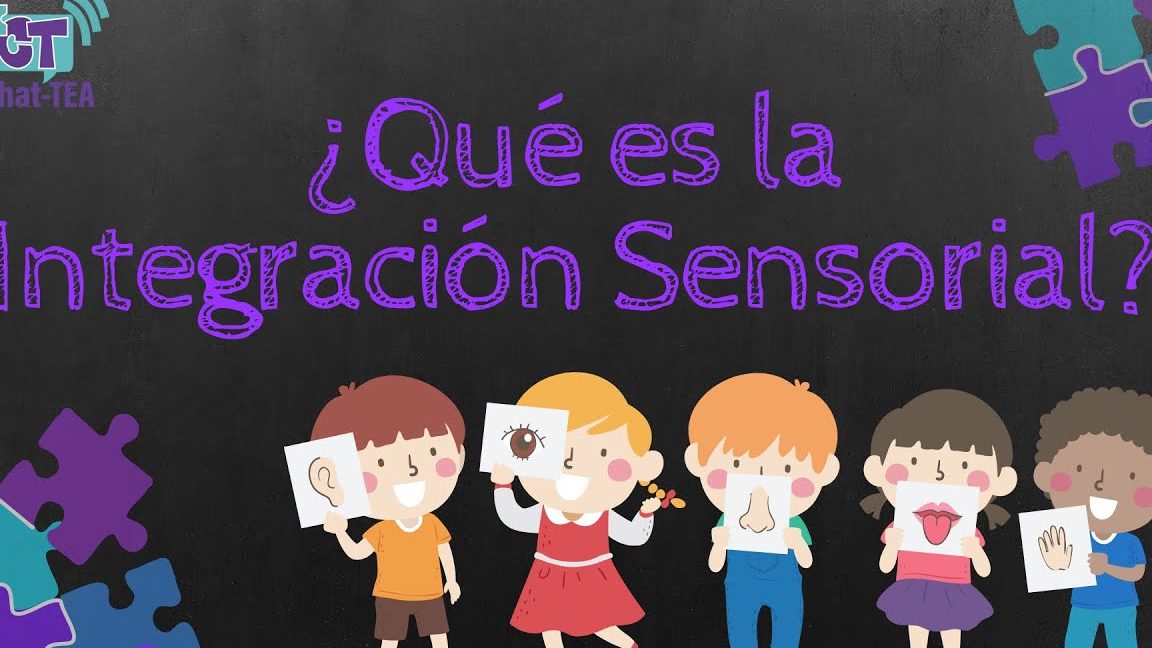 Integrar y procesar los estímulos sensitivos que van al cerebro