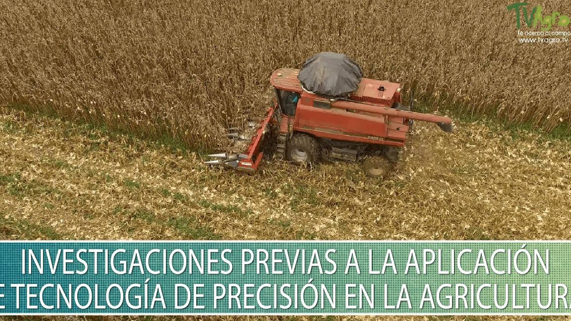 Discutir investigaciones previas y actuales en el campo