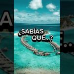 Situar en el mapa las Islas Maldivas