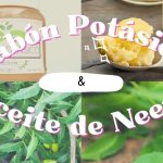 Preparar jabón potásico y aceite de neem