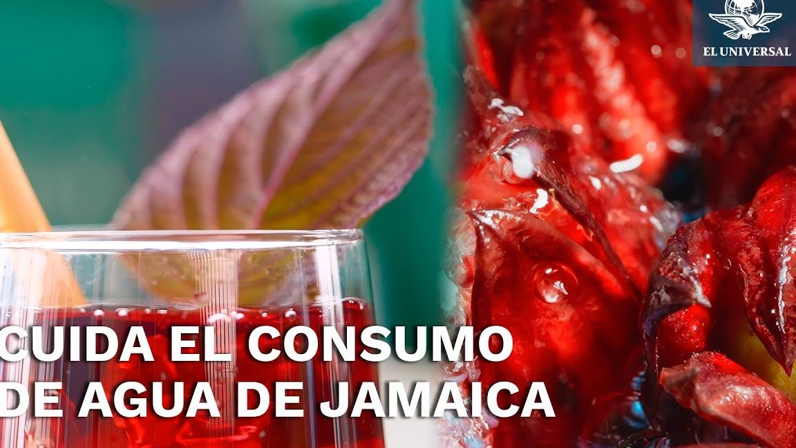 Tomar flor de jamaica en la noche