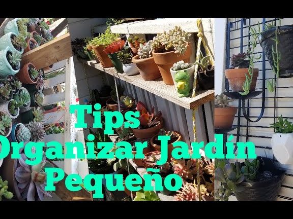 Mantener las macetas ordenadas ayuda