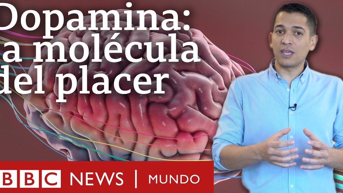 Moderar los placeres y guiarse por la razón