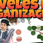 Explicar los niveles de organización de los seres vivos