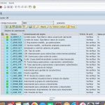 Asignar objeto de autorización al usuario SAP