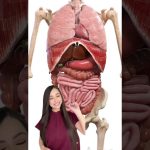 Incorporar tecnologías en el organismo humano hace que se modifique su identidad o naturaleza