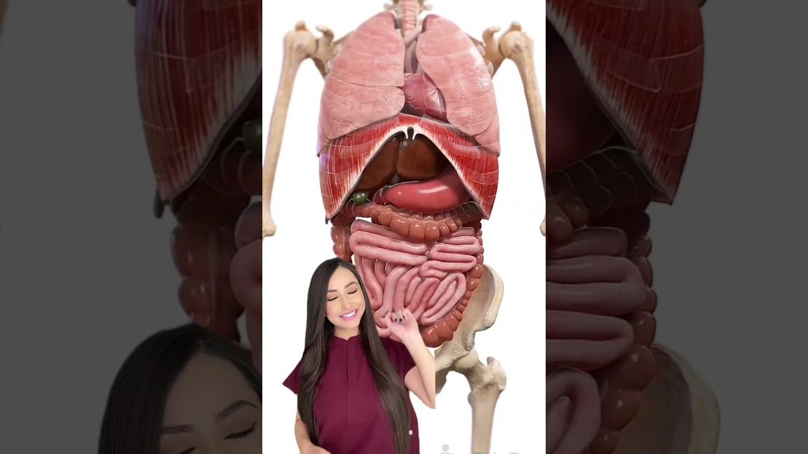 Incorporar tecnologías en el organismo humano hace que se modifique su identidad o naturaleza