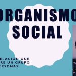 organismo social