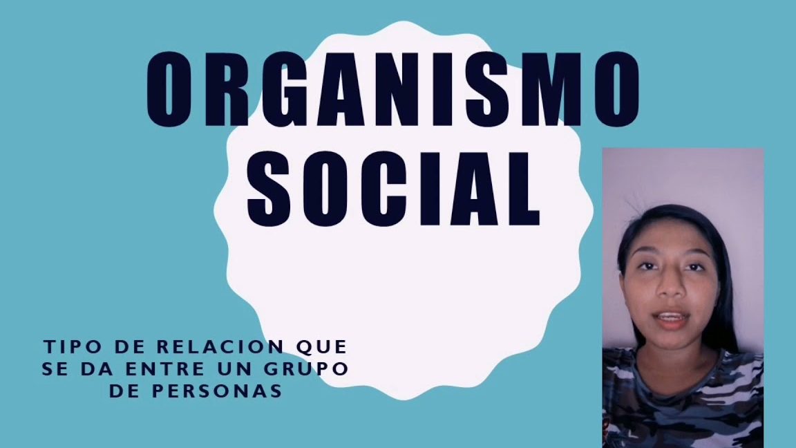 Establecer o fundar un organismo social o cultural