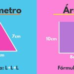 perimetro area