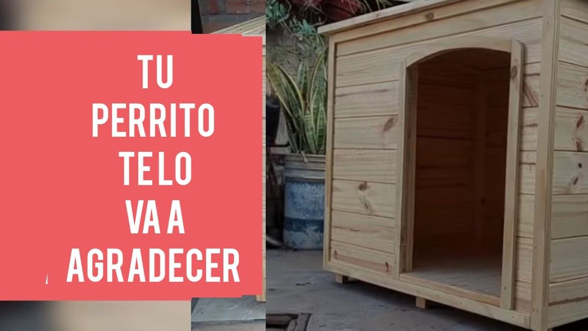 Entretener a un perro solo en casa