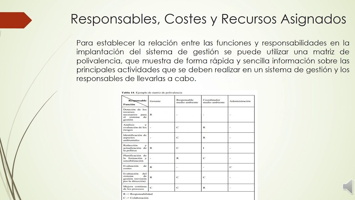 Coordinar, administrar y supervisar la planeación e implantación del proceso a su cargo