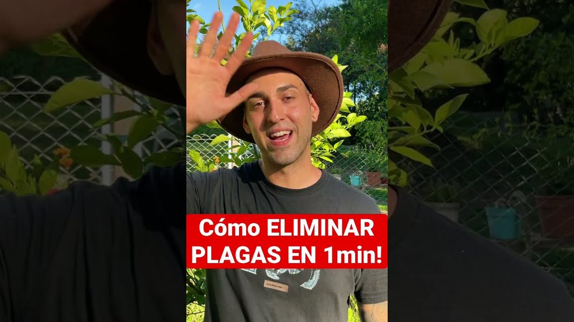 Especificar las plantas que se utilizan en la jardinería