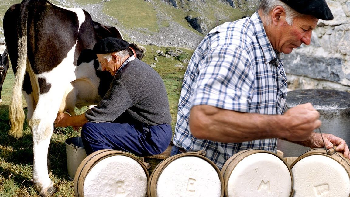 Para comercializar la producción de queso, la asociación de ganaderos