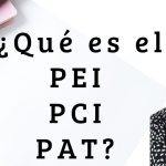 proyecto curricular
