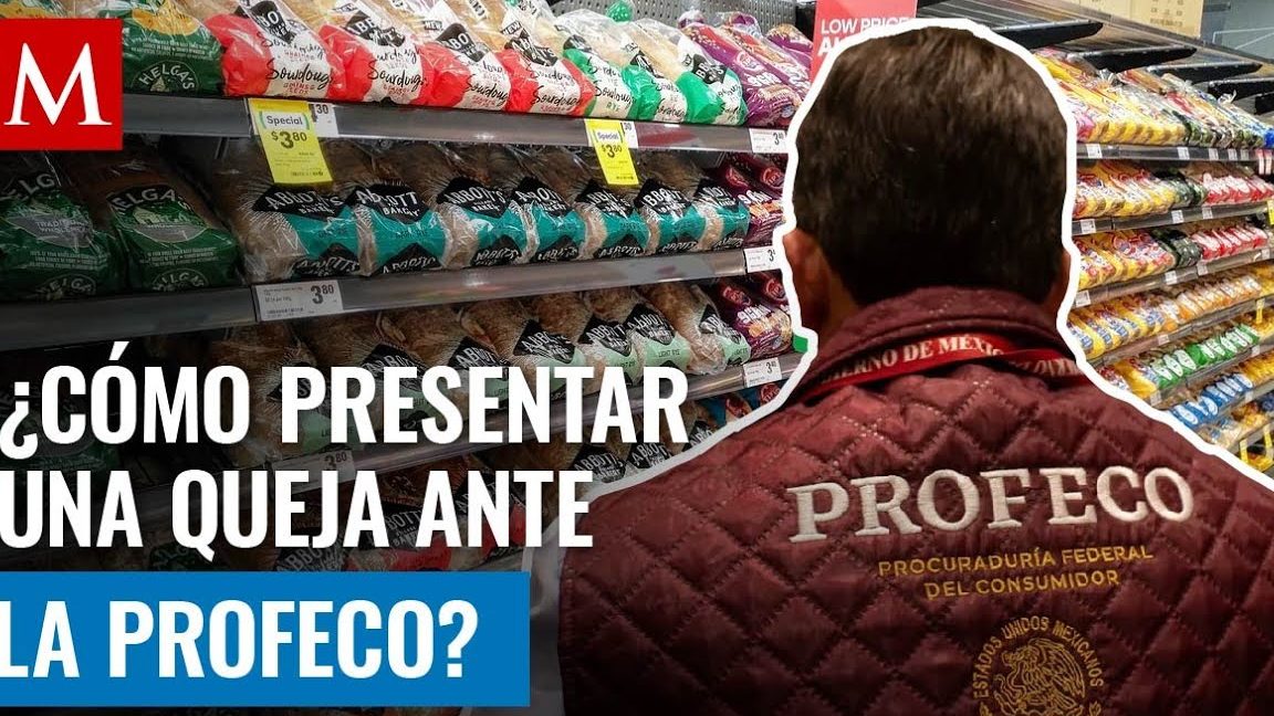 Redacción de queja: ejemplo de carta dirigida a Profeco