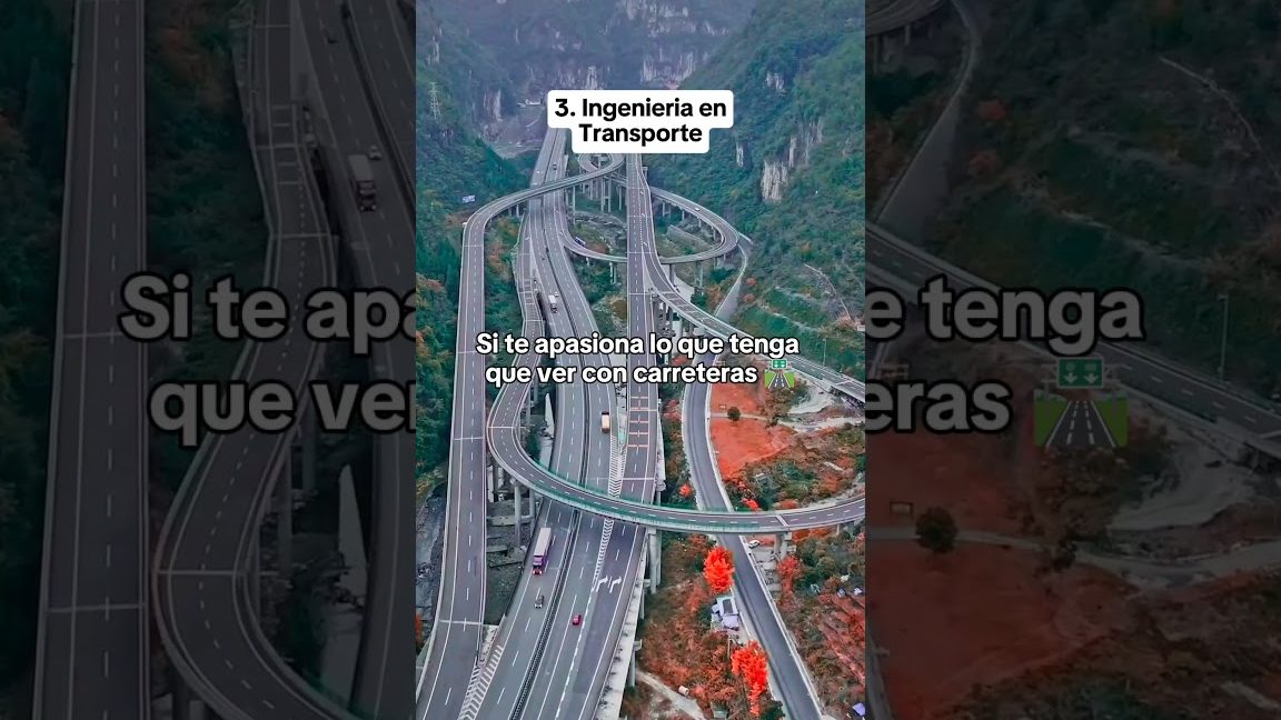 Enlistar las distintas ramas de la ingeniería y dar una breve descripción de cada una