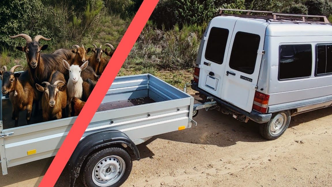 ¿Está permitido conducir un turismo que arrastra un remolque ligero con un permiso de la clase B?